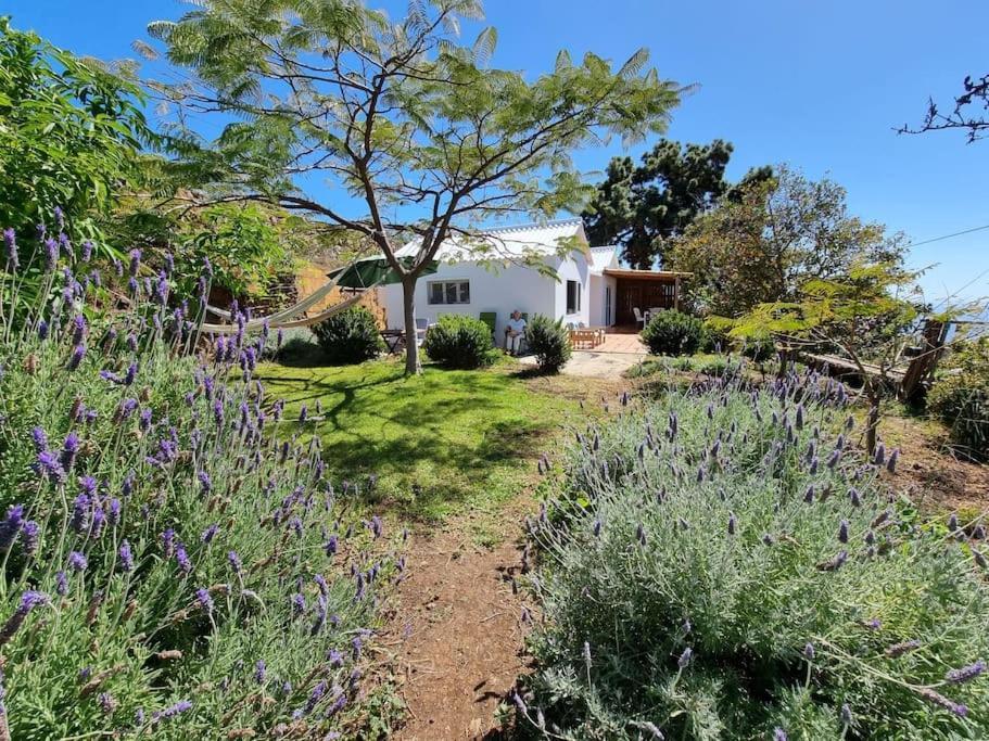Casa Aram Lapalmahouse Villa Tijarafe Kültér fotó